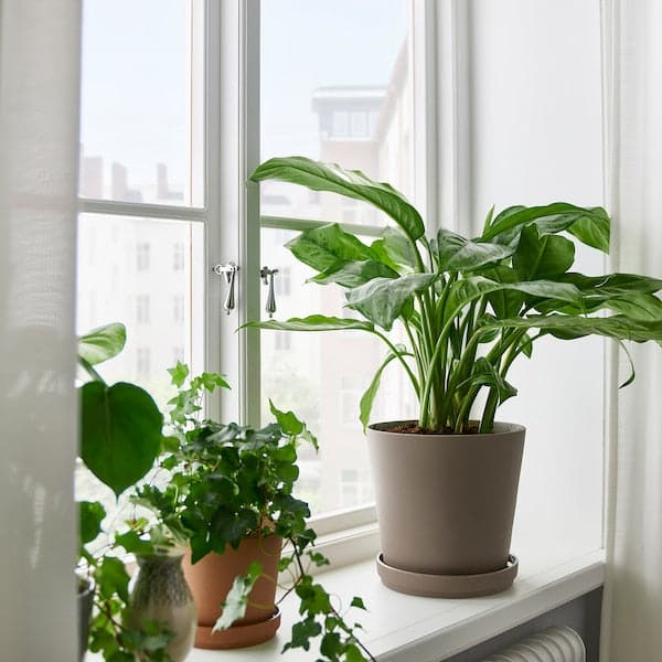 Ikea KLARBÄR - Vase with saucer, indoor/outdoor dove-grey, 19 cm ,