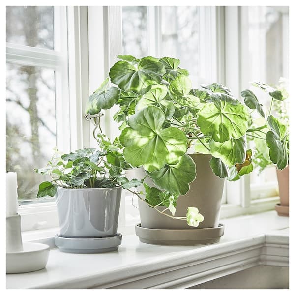 Ikea KLARBÄR - Plant pot with saucer, in/outdoor grey-brown, 15 cm
