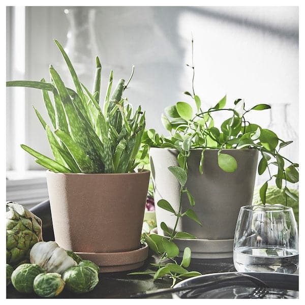 KLARBÄR - Plant pot with saucer, in/outdoor brown, 12 cm - best price from Maltashopper.com 40508426