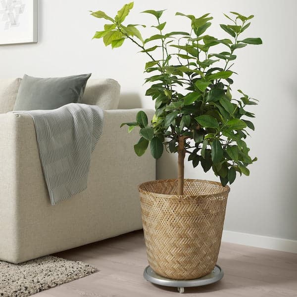 Ikea KLYNNON - Plant pot, handmade bamboo, 32 cm