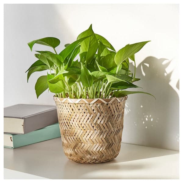 Ikea KLYNNON - Plant pot, handmade bamboo, 15 cm