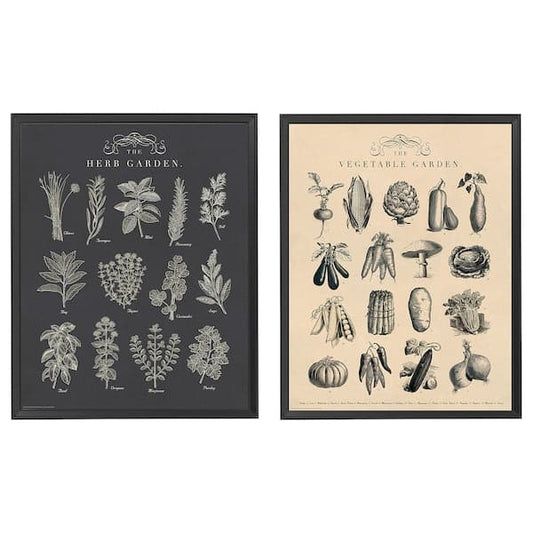 KNOPPÄNG - Frame with poster, garden, 40x50 cm - best price from Maltashopper.com 40465771