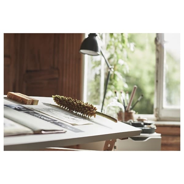 Ikea LAGKAPTEN - Table top, white, 120x60 cm