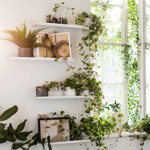 Ikea MALMBÄCK - Display shelf, white, 60 cm