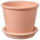 MUSKOTBLOMMA plant pot with saucer, in/outdoor terracotta, 15 cm