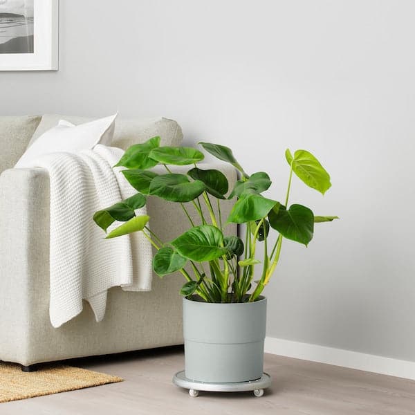 Ikea NYPON - Plant pot, in/outdoor grey, 24 cm
