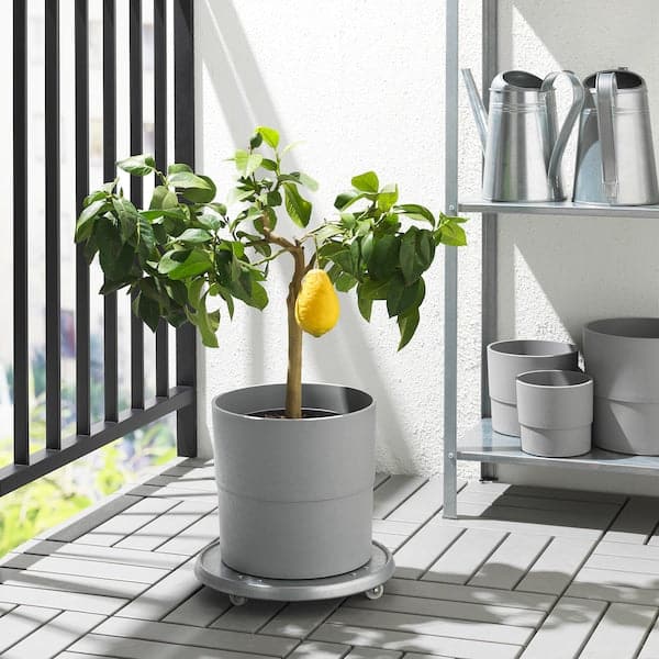 Ikea NYPON - Plant pot, in/outdoor grey, 24 cm
