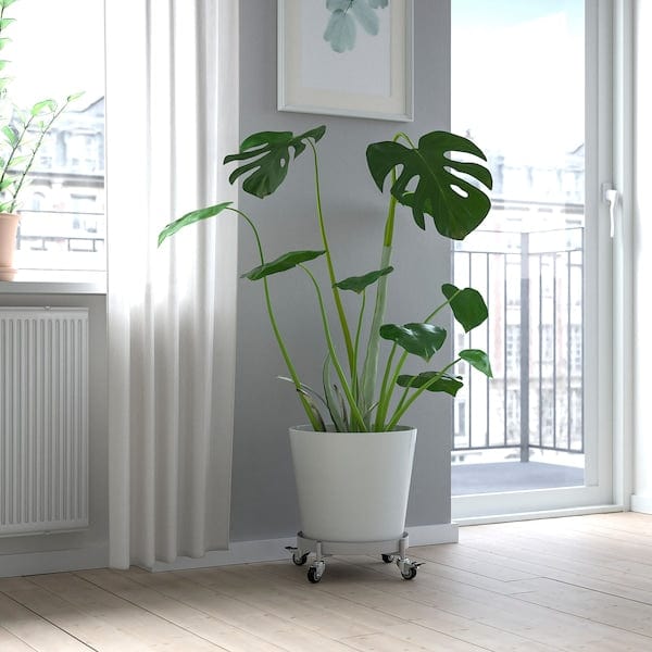 Ikea OLIVBLAD - Plant mover, in/outdoor light grey, 32 cm