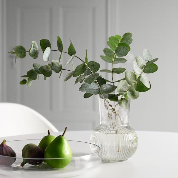 Ikea PÅDRAG - Vase, clear glass, 17 cm