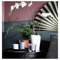 PAPAJA - Plant pot, white, 12x19 cm - best price from Maltashopper.com 70186655