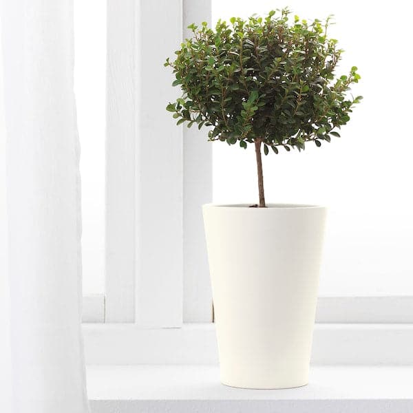 Ikea PAPAJA - Plant pot, white, 12x19 cm
