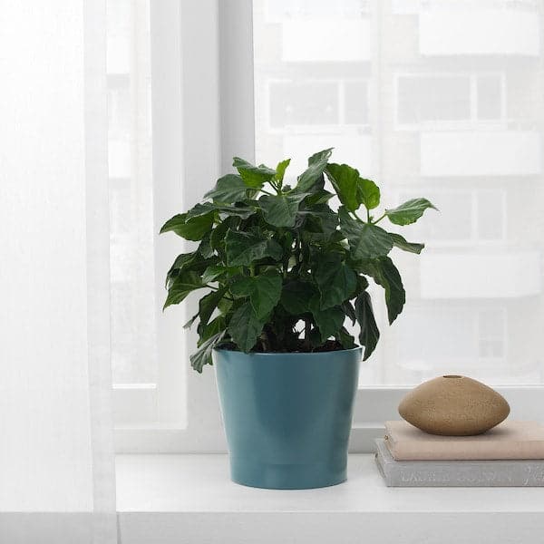 PAPAJA - Plant pot, dark blue, 12 cm - best price from Maltashopper.com 40421701