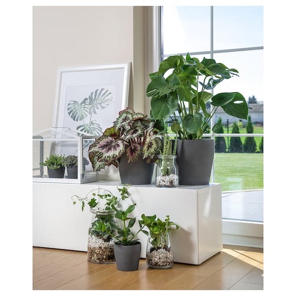 PERSILLADE - Plant pot, dark grey, 12 cm - best price from Maltashopper.com 00315726