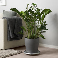 PERSILLADE - Plant pot, dark grey, 24 cm - best price from Maltashopper.com 10346765