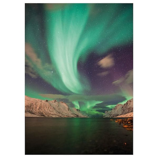 PJÄTTERYD - Canvas, Aurora III, , 50x70 cm - best price from Maltashopper.com 40559939