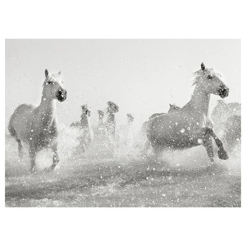 PJÄTTERYD picture, galloping horses, 70x50 cm