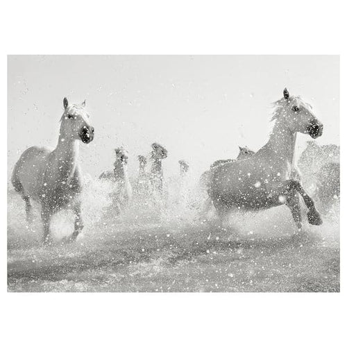 PJÄTTERYD - Canvas, galloping horses, 70x50 cm