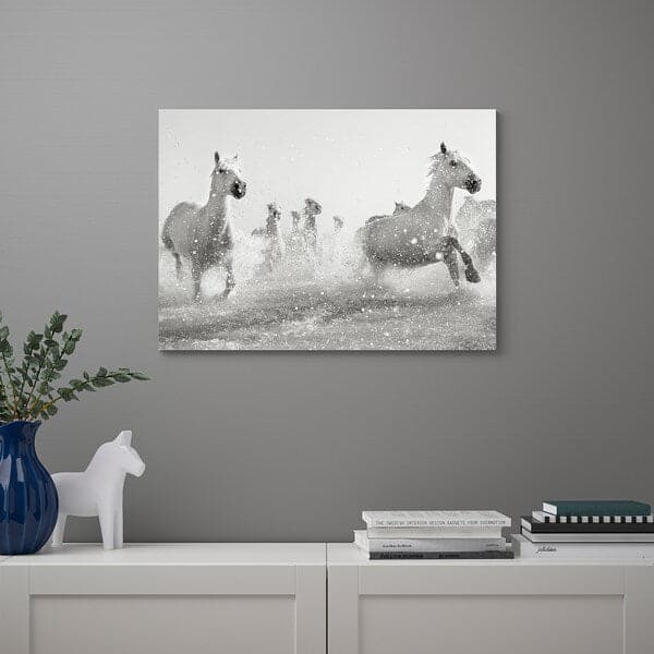 PJÄTTERYD - Canvas, galloping horses, 70x50 cm - best price from Maltashopper.com 80519442