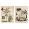 PJÄTTERYD picture, fern branch, 40x50 cm, 2 pack