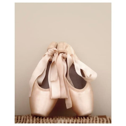 PJÄTTERYD Canvas, dance shoes, 40x50 cm , 40x50 cm - best price from Maltashopper.com 60519457