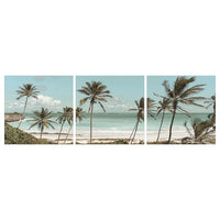 PJÄTTERYD - Picture, faded shoreline, 56x56 cm - best price from Maltashopper.com 10568105