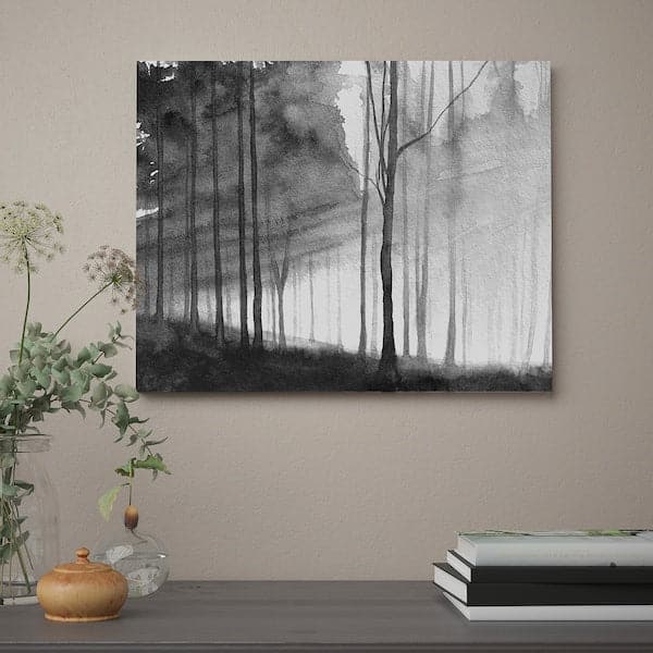 Ikea PJÄTTERYD - Canvas, splendente, , 50x40 cm
