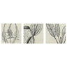 PJÄTTERYD picture, flower print, 56x56 cm, 3 pack
