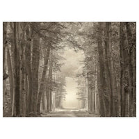 PJÄTTERYD - Canvas, forest road, , 70x50 cm - best price from Maltashopper.com 10554924