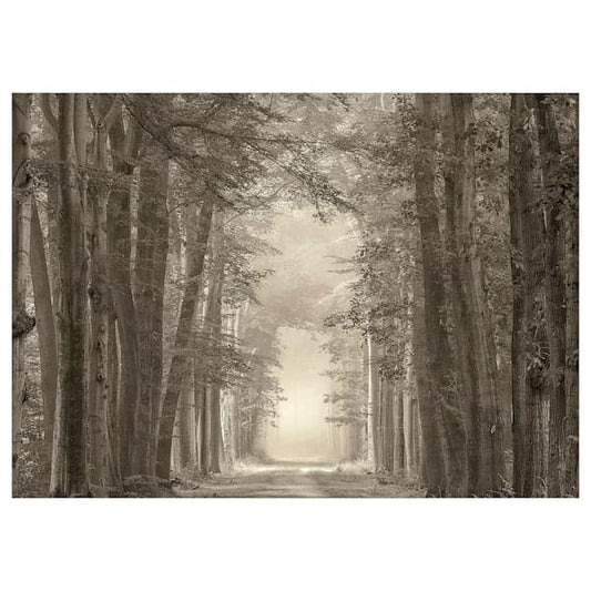 PJÄTTERYD - Canvas, forest road, , 70x50 cm - best price from Maltashopper.com 10554924