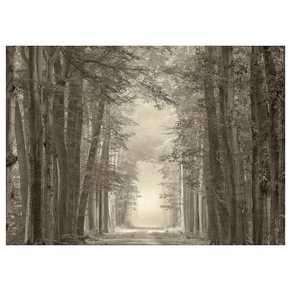 PJÄTTERYD - Canvas, forest road, , 70x50 cm - best price from Maltashopper.com 10554924