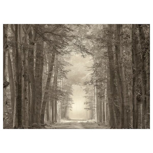 PJÄTTERYD - Canvas, forest road, , 70x50 cm