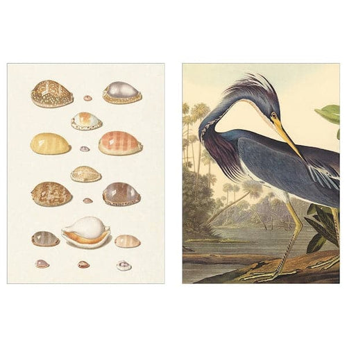 PJÄTTERYD picture, blue bird, 50x70 cm, 2 pack