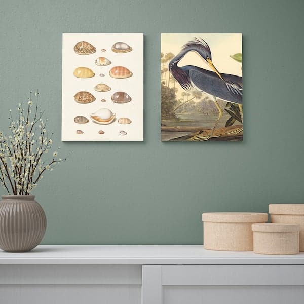 PJÄTTERYD - Canvas, uccello blu, 50x70 cm , - best price from Maltashopper.com 00519455