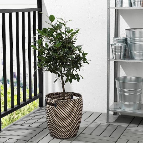 RÅGKORN - Plant pot, in/outdoor dark grey/beige, 24 cm - best price from Maltashopper.com 00407556