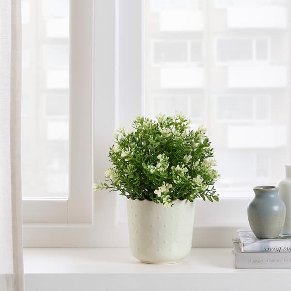 SESAMFRÖN - Plant pot, in/outdoor off-white, 9 cm - best price from Maltashopper.com 00478351