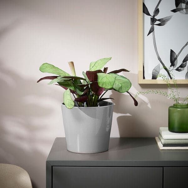 Ikea SKOGSVINBÄR - Plant pot, in/outdoor grey, 15 cm