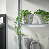 SKOGSVINBÄR - Plant pot, in/outdoor grey, 15 cm - best price from Maltashopper.com 90508443