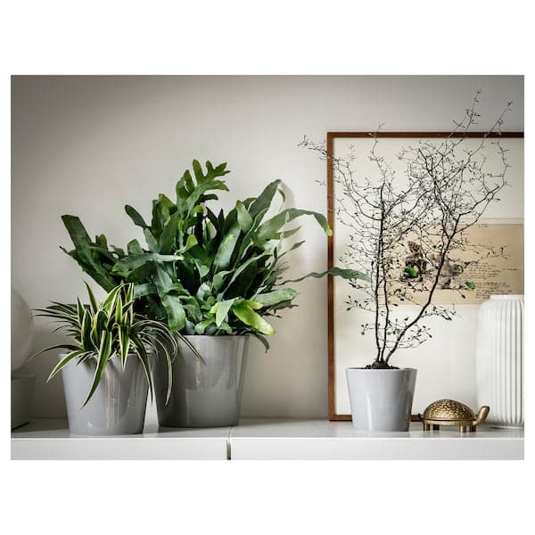 Ikea SKOGSVINBÄR - Plant pot, in/outdoor grey, 12 cm
