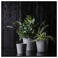 SKOGSVINBÄR - Plant pot, in/outdoor grey, 12 cm - best price from Maltashopper.com 00508447