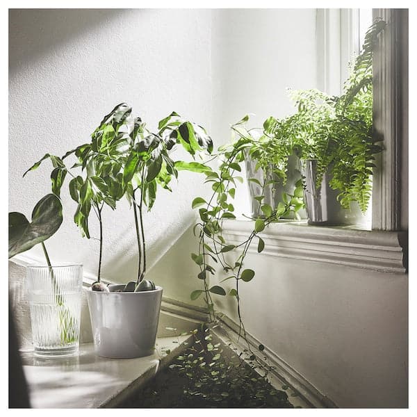 Ikea SMÄLLSPIREA - Vase, clear glass/patterned, 17 cm