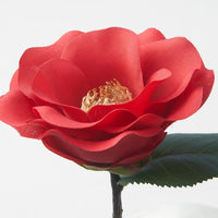 SMYCKA - Artificial flower, in/outdoor/Camellia red, 28 cm - best price from Maltashopper.com 50571790