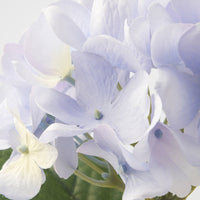 SMYCKA - Artificial flower, in/outdoor/Hydrangea blue, 45 cm - best price from Maltashopper.com 00571797