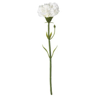 SMYCKA - Artificial flower, carnation/white, 30 cm - best price from Maltashopper.com 20333588