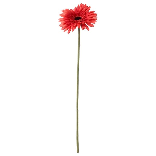 SMYCKA - Artificial flower, Gerbera/red, 50 cm - best price from Maltashopper.com 20409762