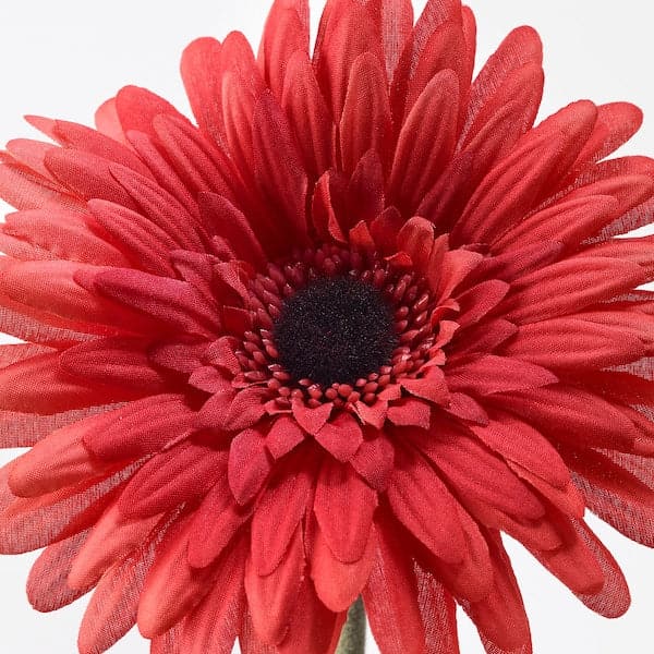 SMYCKA - Artificial flower, Gerbera/red, 50 cm - best price from Maltashopper.com 20409762