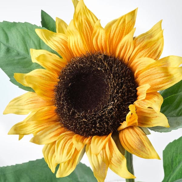 SMYCKA - Artificial flower, sunflower yellow, 51 cm - best price from Maltashopper.com 40476072