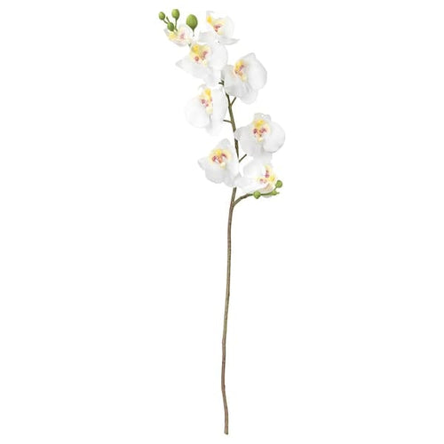 SMYCKA - Artificial flower, Orchid/white, 60 cm