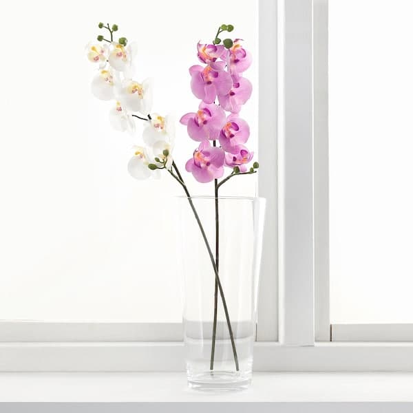 SMYCKA - Artificial flower, Orchid/white, 60 cm - best price from Maltashopper.com 80333585
