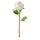 SMYCKA artificial flower, Peony/white, 30 cm