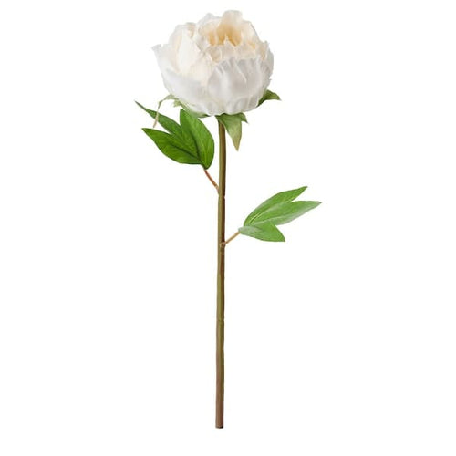 SMYCKA - Artificial flower, Peony/white, 30 cm